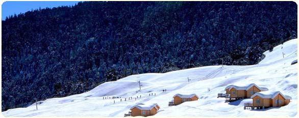 Hotels in Auli