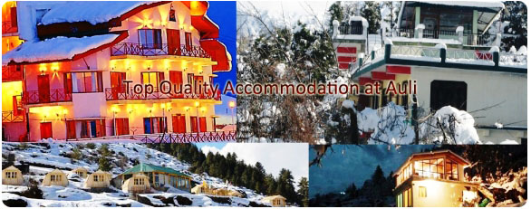 Hotels in Auli
