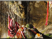 timbersen-mahadev-niti-valley